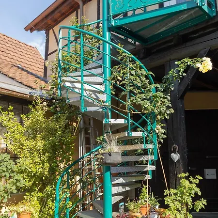 La Grenouillere - La Grange Aux Petits Oignons - Zewwelatreppler Apartament *