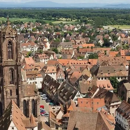 Apartament La Grenouillere - La Grange Aux Petits Oignons - Zewwelatreppler Sélestat