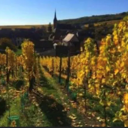 La Grenouillere - La Grange Aux Petits Oignons - Zewwelatreppler * Sélestat